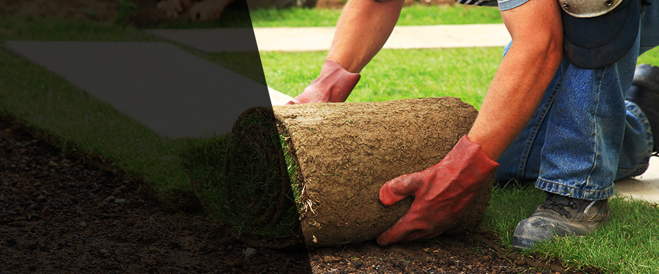 Goodhue Landscapers